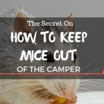 How To Keep Mice Out Of A Camper