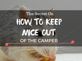 How To Keep Mice Out Of A Camper