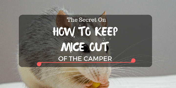 How To Keep Mice Out Of A Camper