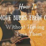 How To Remove Burrs From Clothing