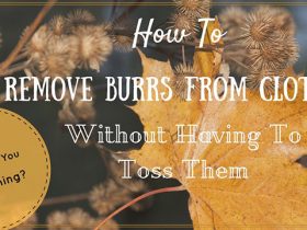 How To Remove Burrs From Clothing
