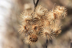 How To Remove Burrs