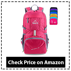 Venture Pal Backpack