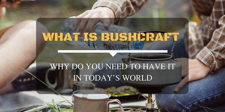 What Is Bushcraft